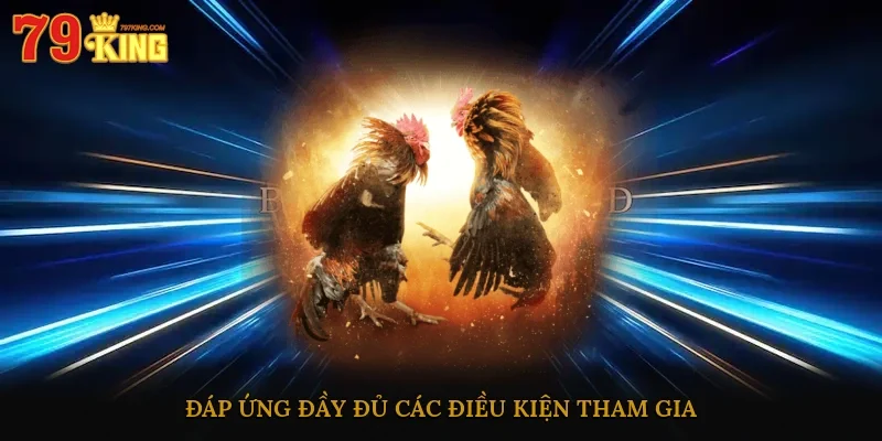 Đáp ứng đầy đủ các điều kiện tham gia