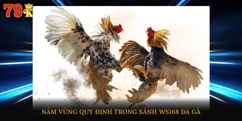 Nắm vững quy định trong sảnh WS168 đá gà
