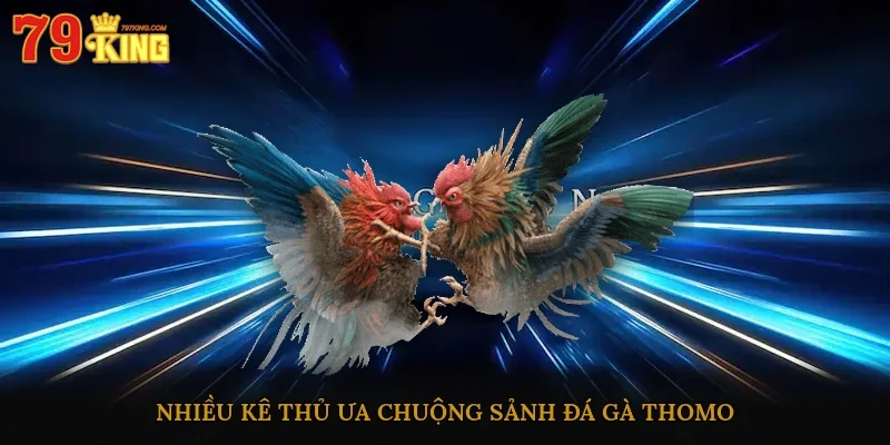 Nhiều kê thủ ưa chuộng sảnh đá gà Thomo