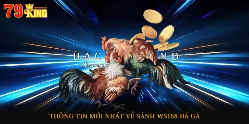 Thông tin mới nhất về sảnh WS168 đá gà