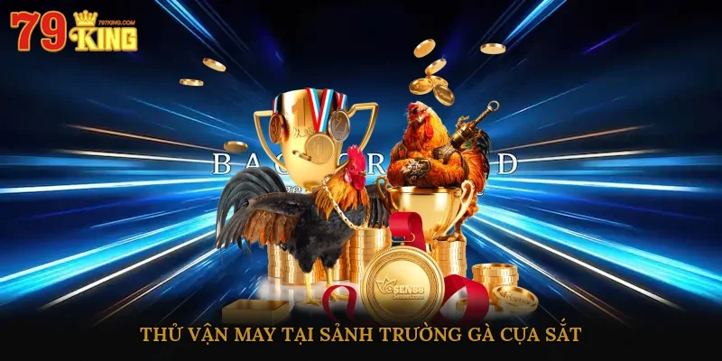 Thử vận may tại sảnh trường gà cựa sắt